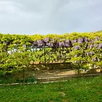 Borgo Solamore * Cortona