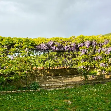 Borgo Solamore * Cortona