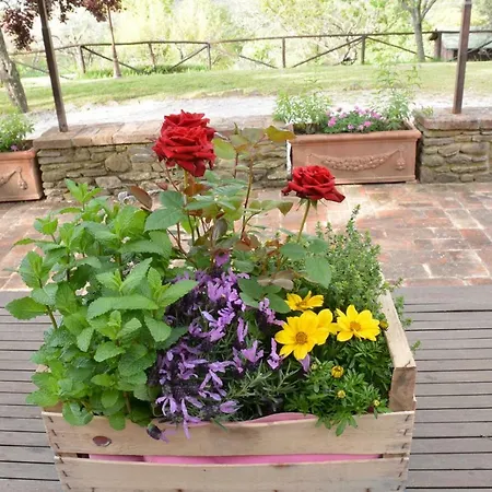 Borgo Solamore Cortona