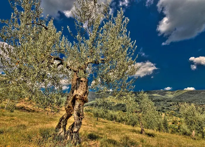 Borgo Solamore