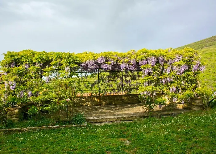 Borgo Solamore * Cortona